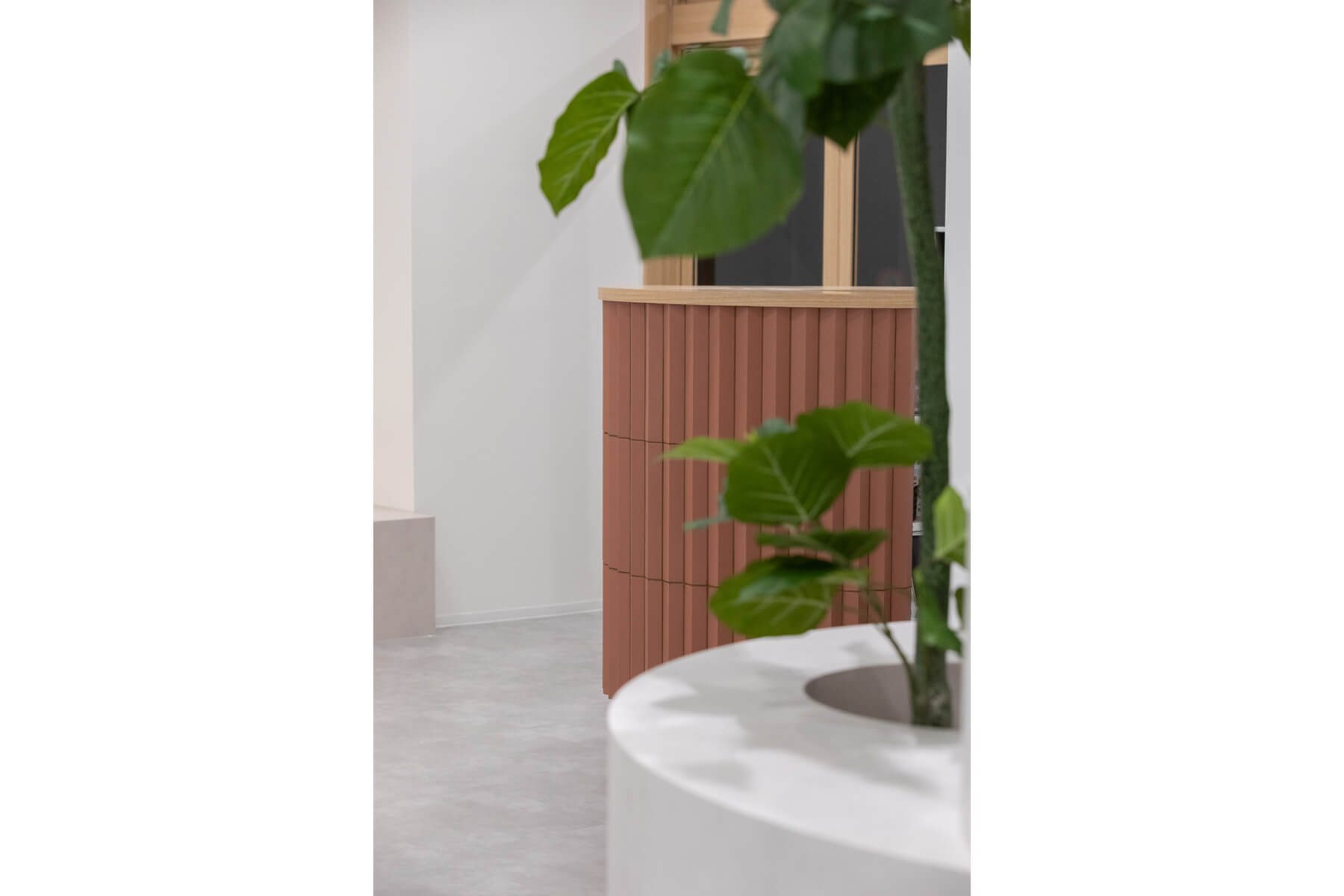RrSALON / Aichi